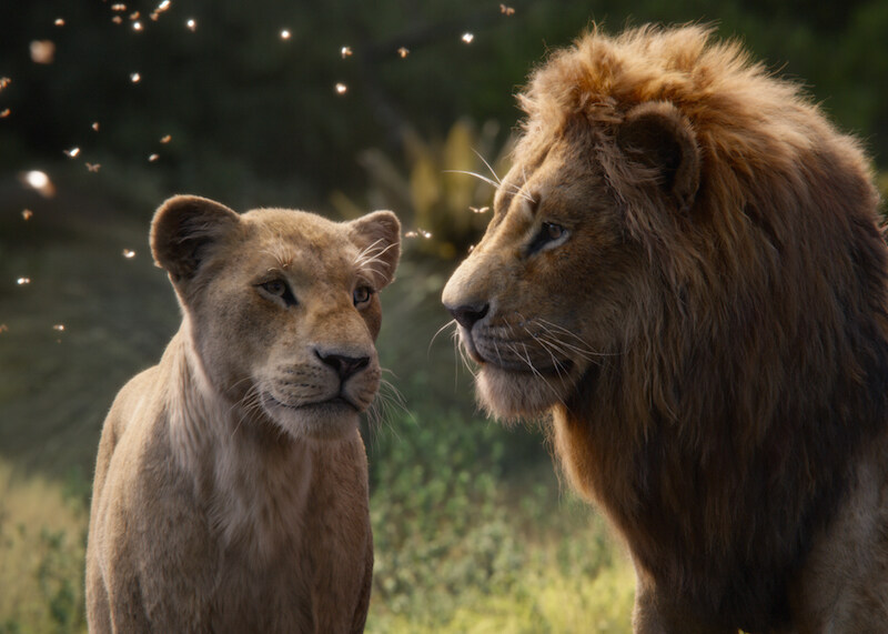 迪士尼全新《獅子王》像真度極高！神還原5大經典場景同你逐一睇！