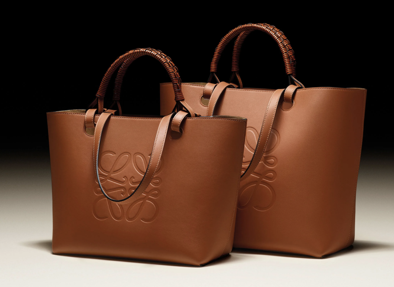 OL返工手袋必備tote bag|推介2021新款 Dior、Chloé、Bottega Veneta、Loewe實用又耐看手提袋款