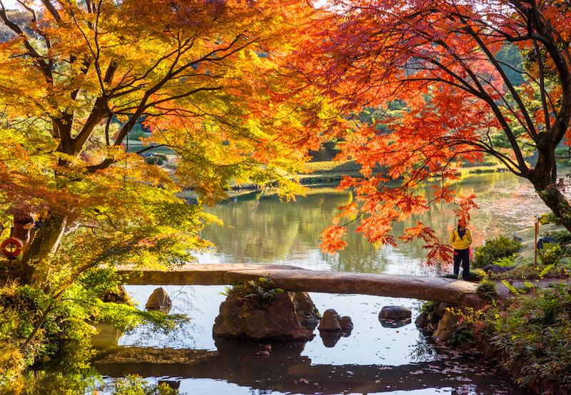 假如不想登山 假如不想登山