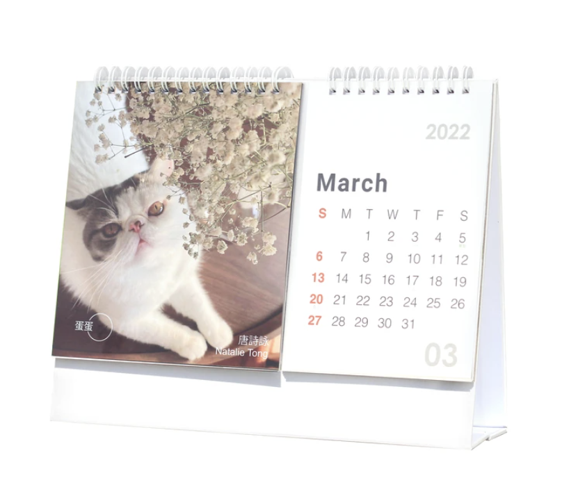 2021月曆推介｜清新布月曆、本地插畫家：10+網購月曆為新年帶來新開始