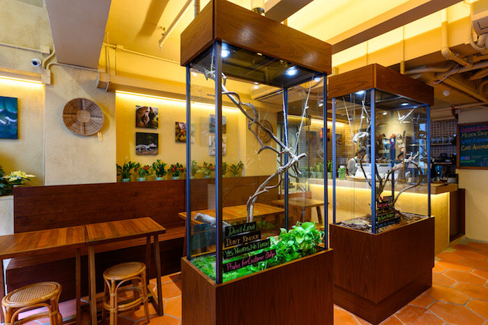 超可愛!3間友善對待的香港動物Cafe推介 超可愛!3間友善對待的香港動物Cafe推介