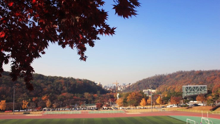 首爾大學最佳的賞楓位置就是在大學飯堂