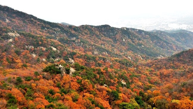 首爾大學之所以有這樣的景致，大部分的功勞是來自於鄰近的冠岳山