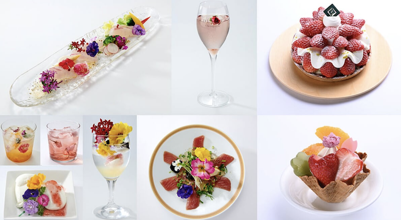 2019年日本自由行！不可錯過的東京美食：十勝芝士祭、花藝甜品！