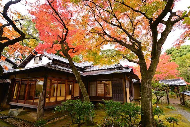 【日本紅葉2019】神奈川5大賞紅葉景點 都在東京近郊超方便! 【日本紅葉2019】神奈川5大賞紅葉景點 都在東京近郊超方便!