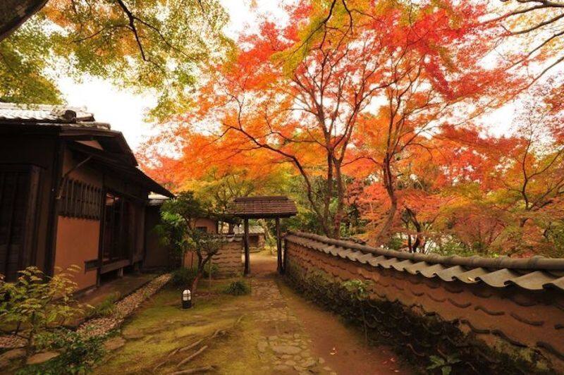 【日本紅葉2019】神奈川5大賞紅葉景點 都在東京近郊超方便! 【日本紅葉2019】神奈川5大賞紅葉景點 都在東京近郊超方便!