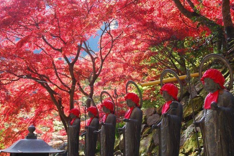【日本紅葉2019】神奈川5大賞紅葉景點 都在東京近郊超方便! 【日本紅葉2019】神奈川5大賞紅葉景點 都在東京近郊超方便!
