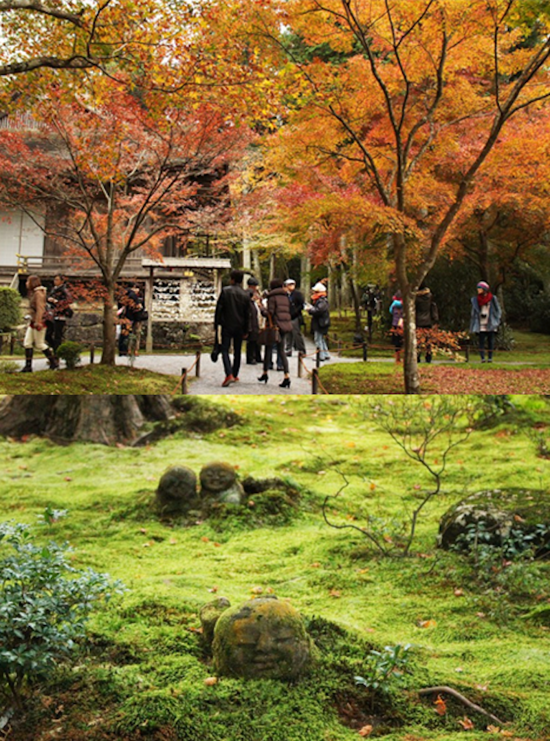 【日本紅葉2019】15個京都紅葉名所:紅葉天空之鏡、賞楓列車、滿地紅逼爆鏡頭! 【日本紅葉2019】15個京都紅葉名所:紅葉天空之鏡、賞楓列車、滿地紅逼爆鏡頭!