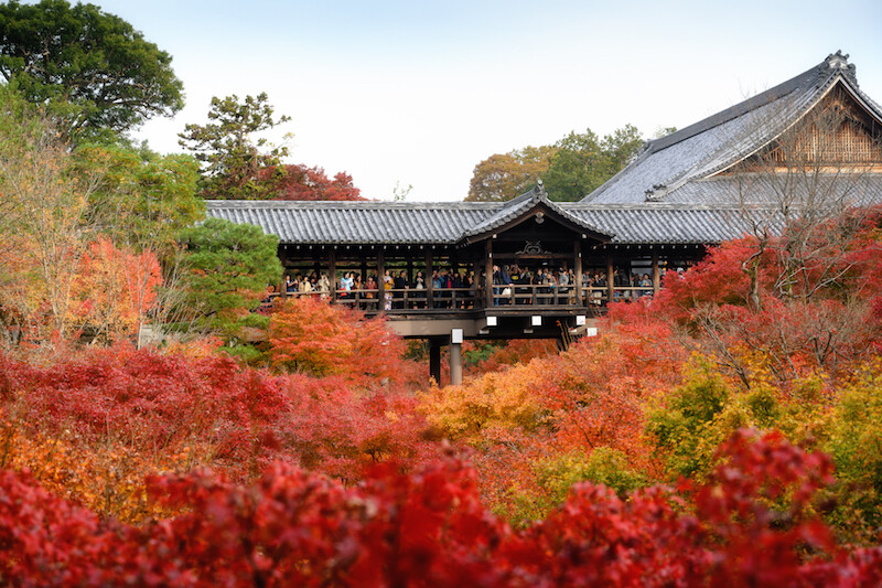 【日本紅葉2019】15個京都紅葉名所:紅葉天空之鏡、賞楓列車、滿地紅逼爆鏡頭! 【日本紅葉2019】15個京都紅葉名所:紅葉天空之鏡、賞楓列車、滿地紅逼爆鏡頭!