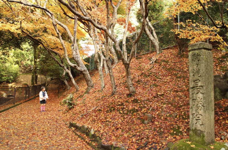 【日本紅葉2019】15個京都紅葉名所:紅葉天空之鏡、賞楓列車、滿地紅逼爆鏡頭! 【日本紅葉2019】15個京都紅葉名所:紅葉天空之鏡、賞楓列車、滿地紅逼爆鏡頭!