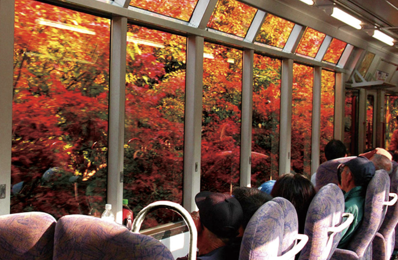 【日本紅葉2019】15個京都紅葉名所:紅葉天空之鏡、賞楓列車、滿地紅逼爆鏡頭! 【日本紅葉2019】15個京都紅葉名所:紅葉天空之鏡、賞楓列車、滿地紅逼爆鏡頭!