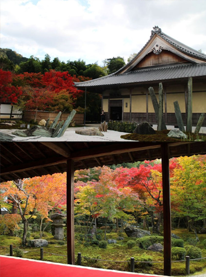 【日本紅葉2019】15個京都紅葉名所:紅葉天空之鏡、賞楓列車、滿地紅逼爆鏡頭! 【日本紅葉2019】15個京都紅葉名所:紅葉天空之鏡、賞楓列車、滿地紅逼爆鏡頭!
