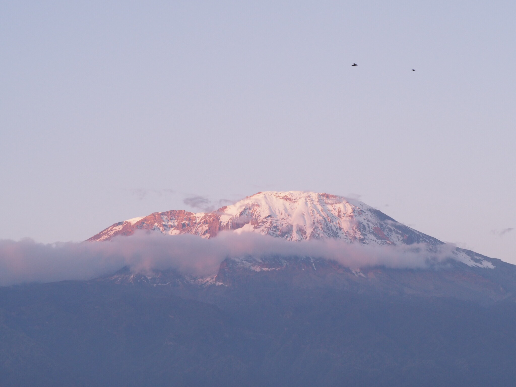 當地人稱Kilimanjaro為The Shy Mountain，因為很多時會被雲層遮蓋。