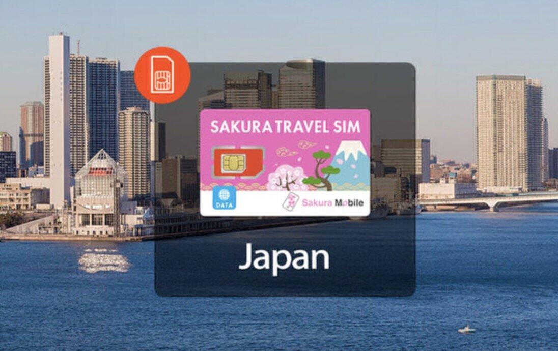 旅遊上網｜4大方法比較＋好用旅行網絡推介：WiFi蛋/SIM卡/eSIM數據卡
