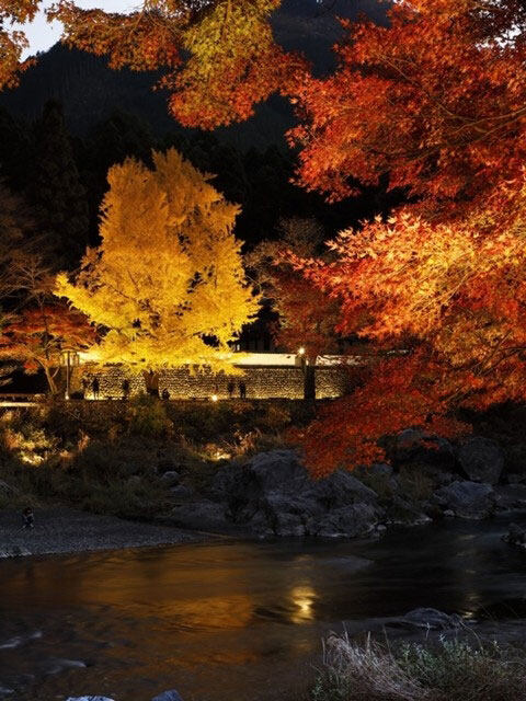 2019紅葉預測:11月中旬至11月下旬 2019紅葉預測:11月中旬至11月下旬