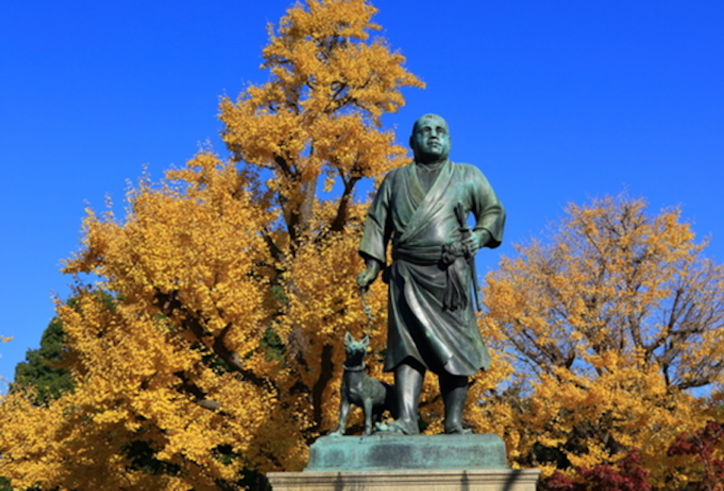 上野恩賜公園是日本最早的城市花 上野恩賜公園是日本最早的城市花
