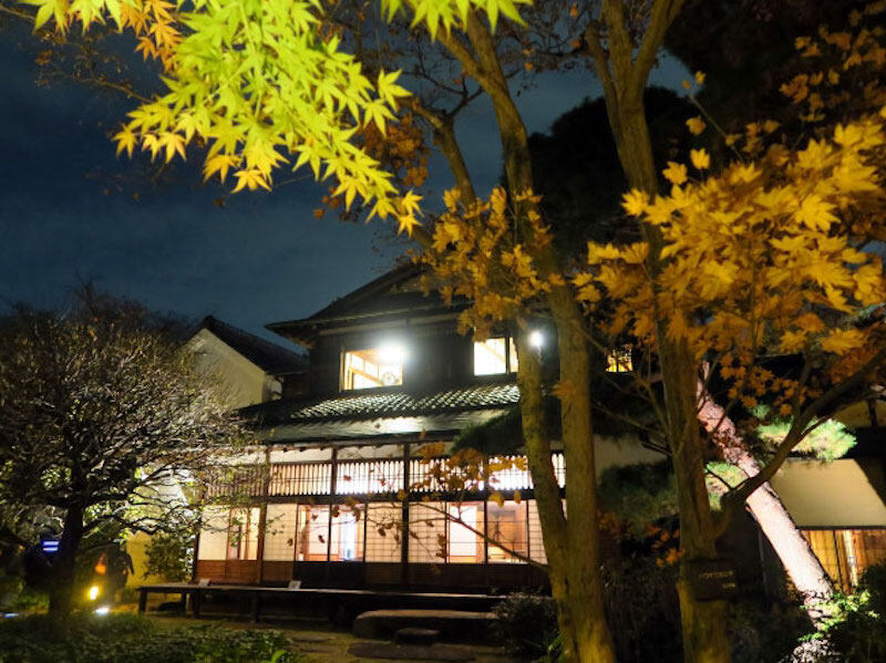 小金井公園有一片大草原 小金井公園有一片大草原