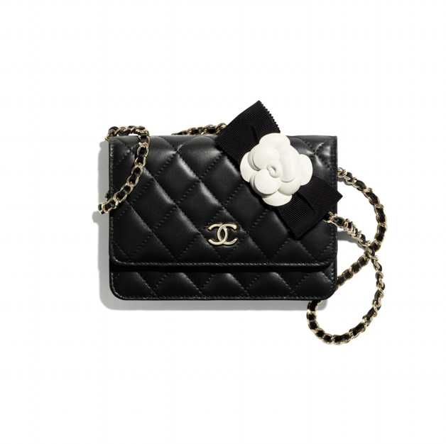 2021 WOC手袋推介丨10款Chanel、Celine、Dior及LV Wallet on Chain名牌手袋精選